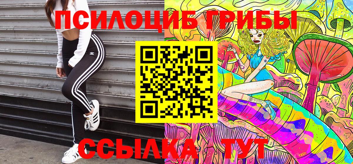 купить наркоту  Псилоцибиновые грибы Psilocybine cubensis  Вход с VPN  Кропоткин 